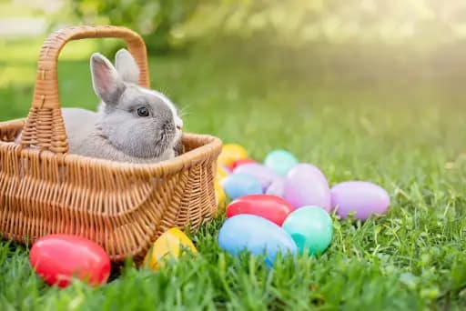 Which Easter Spirit Are You?