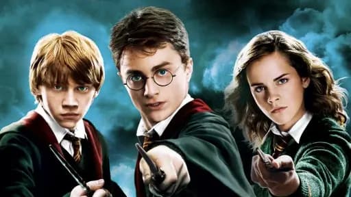 Which Harry Potter house are you?