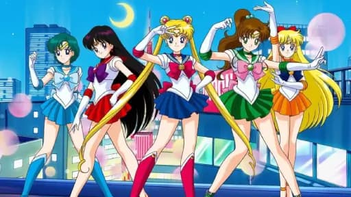 Which Sailor Moon Character Are You?